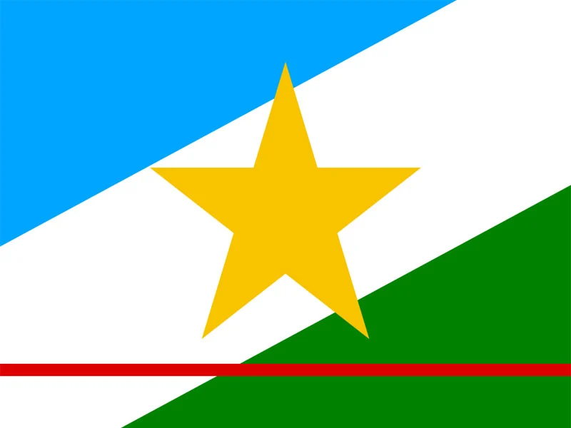 Consultar Inscrição Estadual Roraima, consulta ie rr