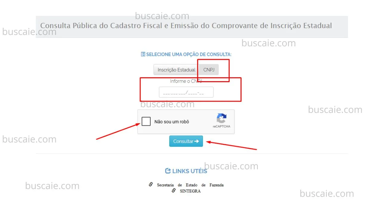 Consulta inscrição estadual Mato Grosso do Sul
